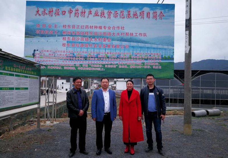 走进牛马交易市场：选购无忧的指南