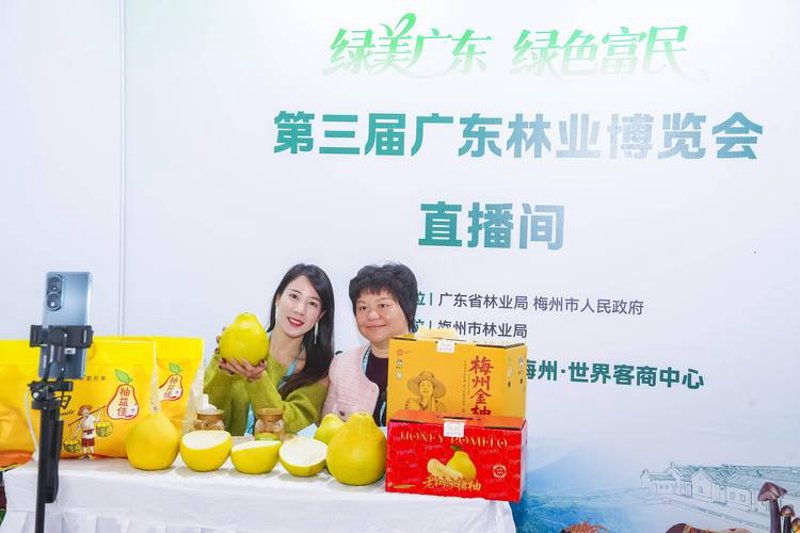 钟山县牧林商贸：探索商贸行业的新时代篇章